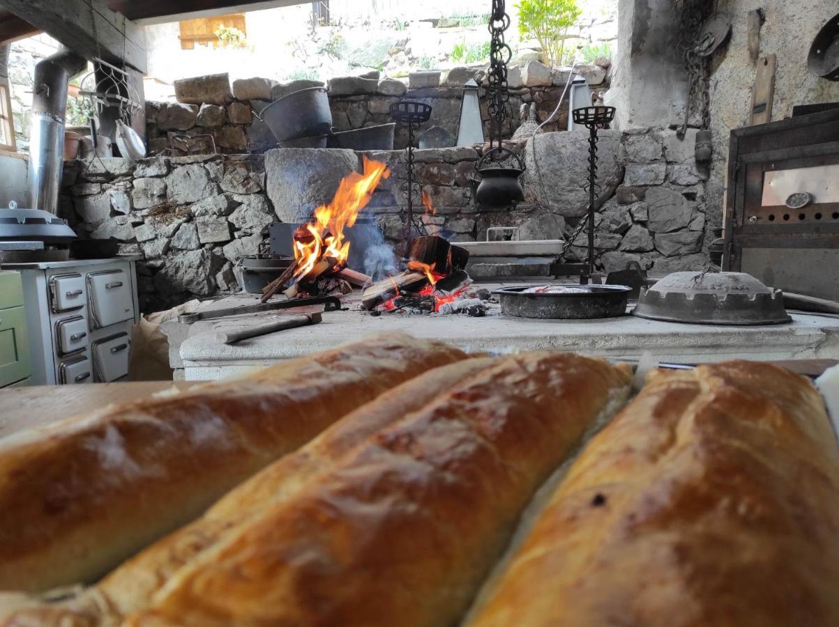 Toncevi Eco Estate Hotel Branik Kültér fotó
