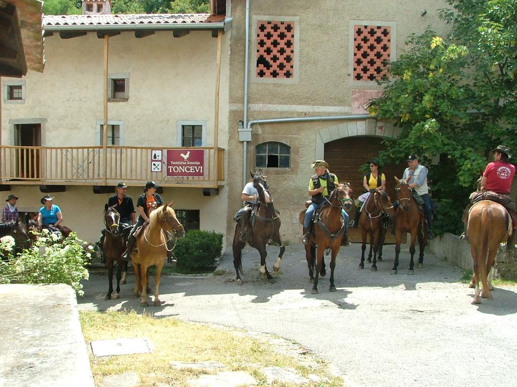 Toncevi Eco Estate Hotel Branik Kültér fotó