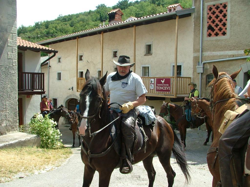 Toncevi Eco Estate Hotel Branik Kültér fotó